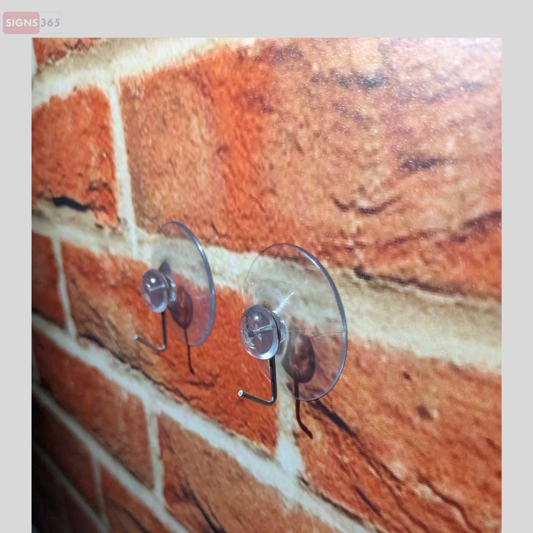 Suction Cups with Hooks – Reusable Hanging Solution
